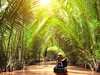 Grand tour Vietnamem #5